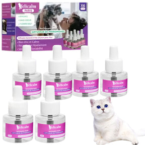 Pack Super Éco 2  Diffuseurs + 6 Recharges de Phéromones- Félicalm