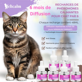 Boite économique 6 recharges Felicalm – Phéromone Anti-stress chats & chatons