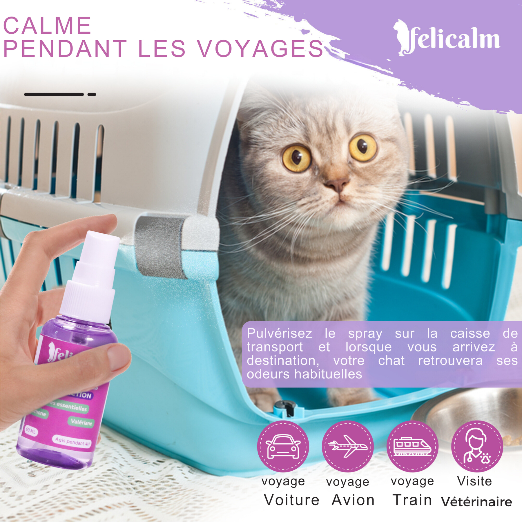 Spray calmant chat Felicalm – Phéromones & plantes naturelles anti-stress