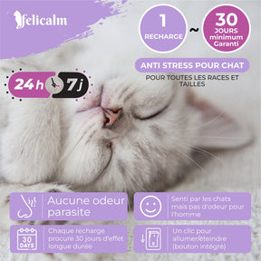 Pack Felicalm – 1 Diffuseur + 3 recharges de phéromones pour chats – 3 mois de diffusion apaisante