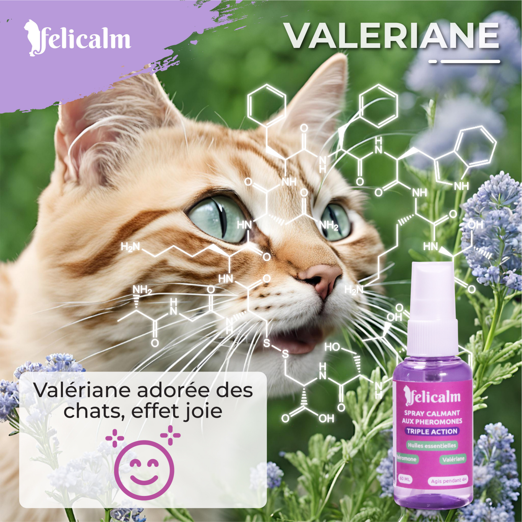 effet de la valériane chez le chat , plante aimée des félins favorise  bonheur et harmonie